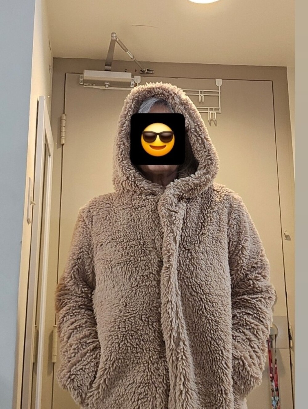 GAP Plush Hooded Teddy Coat - Taupe
